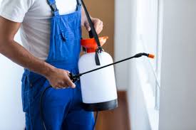 Best Fumigation Services  in Auburndale, FL